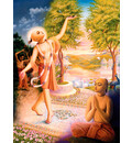 Nrsimhnanda Brahmacari\'s Jeweled Road for Lord Caitanya