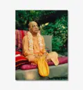 Prabhupada Outside on Vyasasana on Grass with Big Beadbag