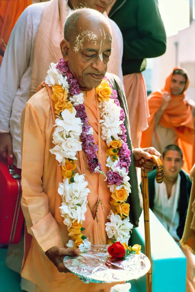 Prabhupada at Airport Holding Plate Covered with Silver Foil and Red Rose