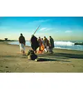 Prabhupada Morning Walk With Disciples on Venice Beach From Behind