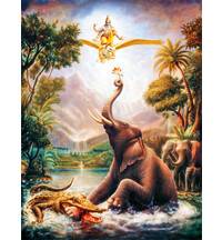 Gajendra the Elephant fights with a Crocodile