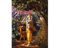 Lord Krishna - The Object of Meditation