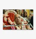Srila Prabhupada\'s Merciful Glance