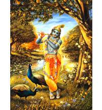 Krishna in the Forest