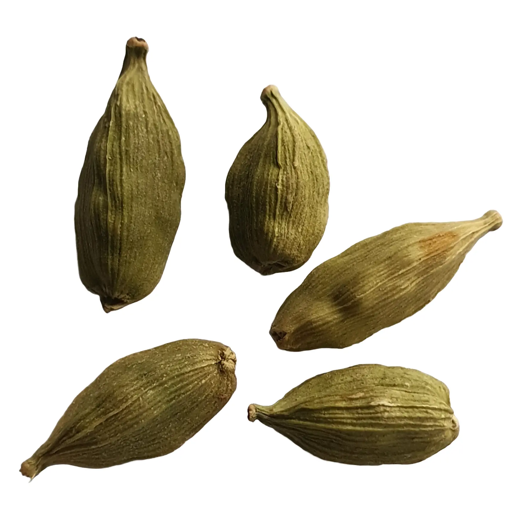 Cloves -- Exotic Indian Spice