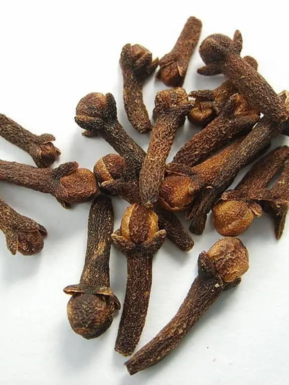 Clove Essential Oil Natural & Pure -- 10 Gram Bottle