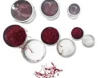 Saffron (Kesar) -- Exotic Indian Spice Saffron (Kesar) -- Exotic Indian Spice